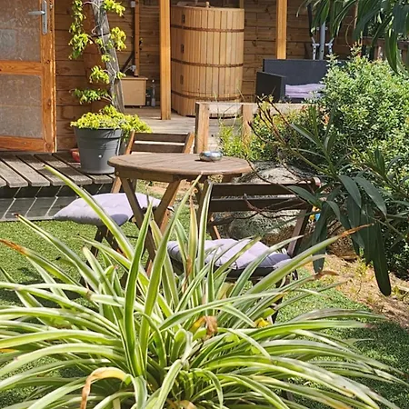 אתר קמפינג En Bois Avec Jacuzzi Prive Et Piscine פורטו-וישיו