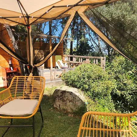 Campsite En Bois Avec Jacuzzi Prive Et Piscine Porto-Vecchio (Corsica)